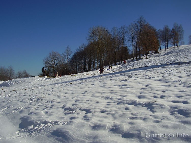 002_Coll_de_Canes_Trineus_i_jocs