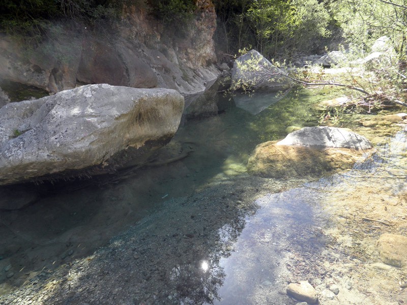 16-Aigua-transparent