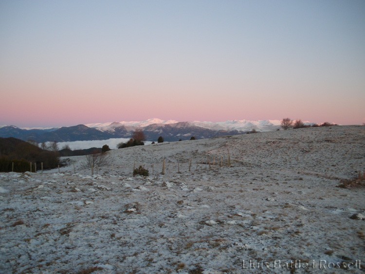 010_Els_Plans_Collfred