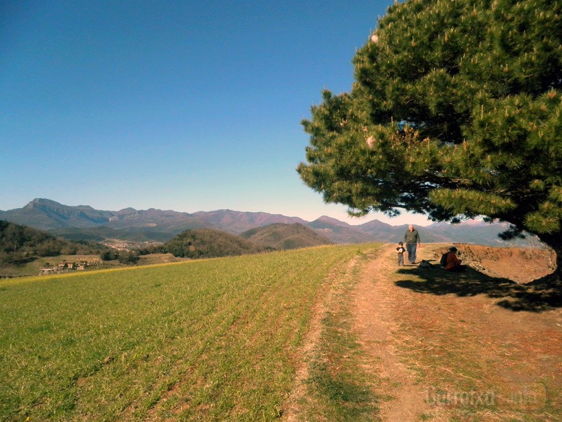 22_Marxa_Morrot_2014