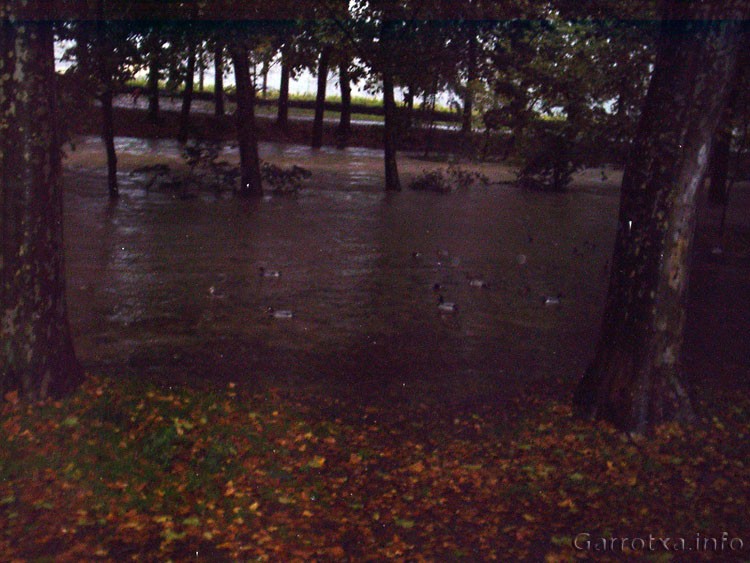 003_Fluvia_Prats_Mandra_Olot