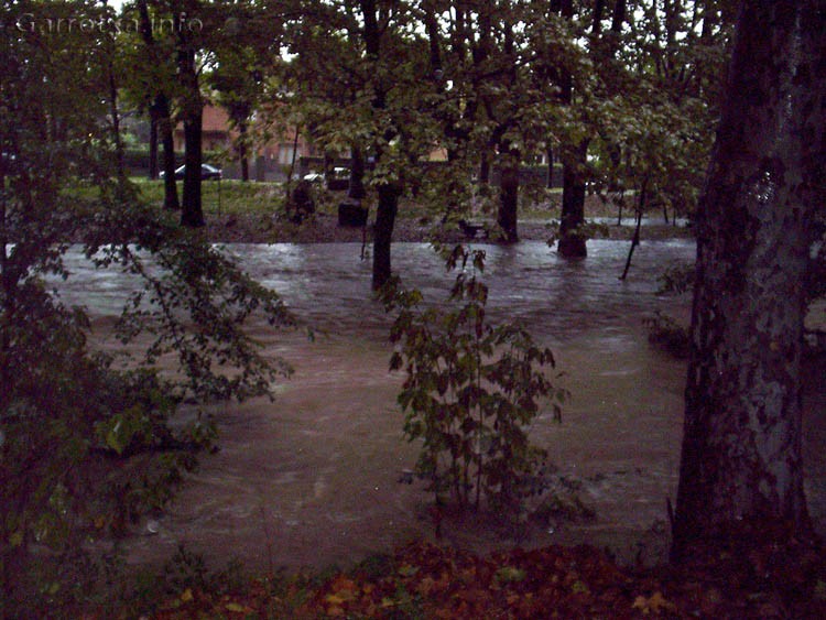 004_Fluvia_Prats_Mandra_Olot